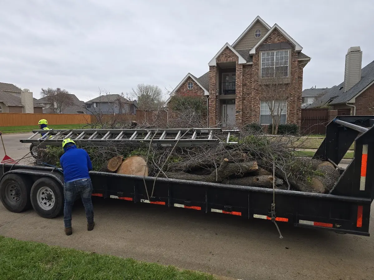Expert Tree Removal with proper safety equipment in Ford